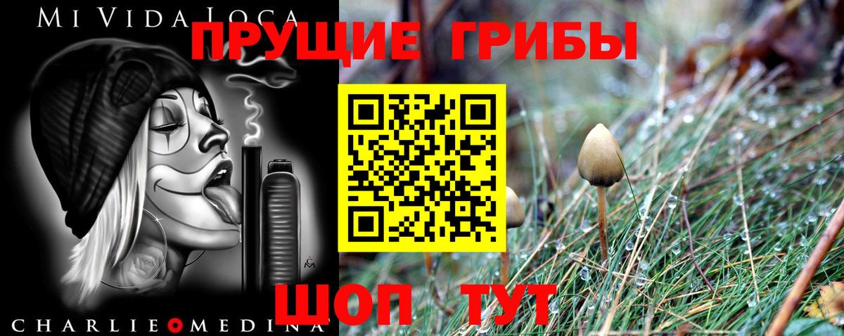 Псилоцибиновые грибы Magic Shrooms  Вход с VPN  Галлюциногенные грибы ЛСД  Ступино 